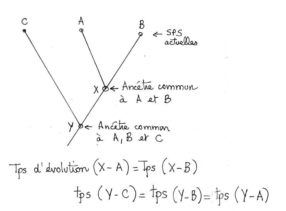 Sans titre-Numérisation-08.jpg