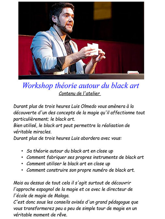 olmedo luis atelier magie_Page_2_Image_0001.jpg