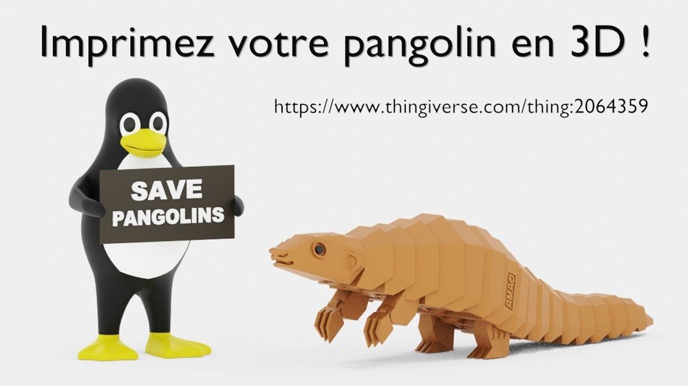 pangolin_tux.thumb.jpg.1e0fcec5c695d04f5d4640acd8d467fd.jpg