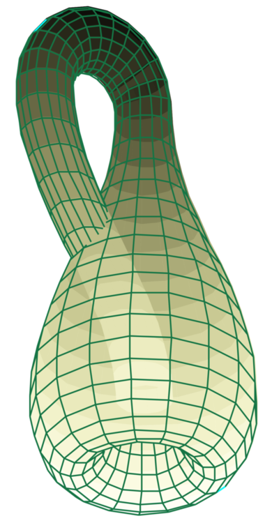 1200px-Klein_bottle.svg.png