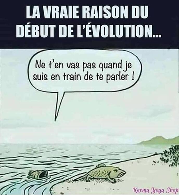 dessin-evolution.jpg