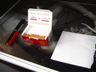 Tutoriel : Comment Fabriquer de Fausses Cigarettes - ▷ Virtual Magie