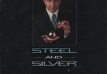 Steel and Silver de Paul GERTNER