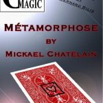 Métamorphose de Mickael CHATELAIN