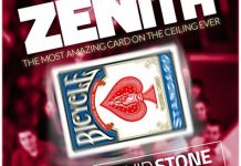 Zenith de David Stone