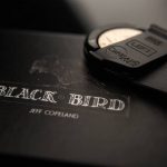 Blackbird de Jeff COPELAND