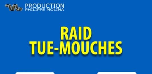 raid tue mouches de philippe molina