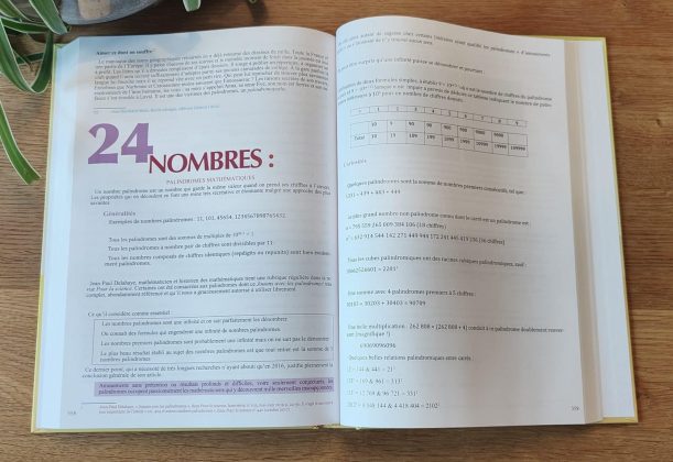 La Bible du Palindrome d’Alain ZALMANSKI - nombres